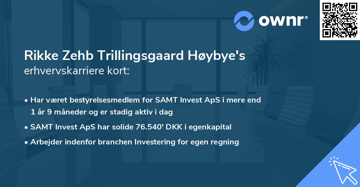Rikke Zehb Trillingsgaard Høybye's erhvervskarriere kort