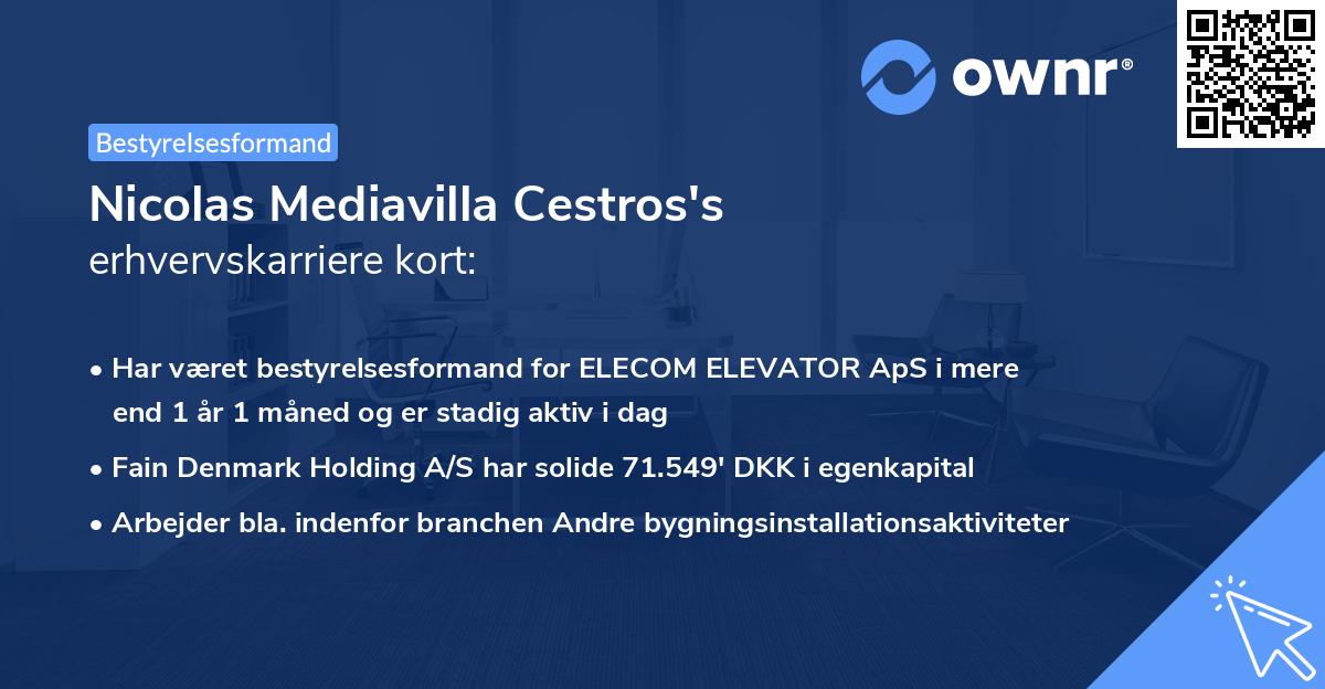 Nicolas Mediavilla Cestros's erhvervskarriere kort
