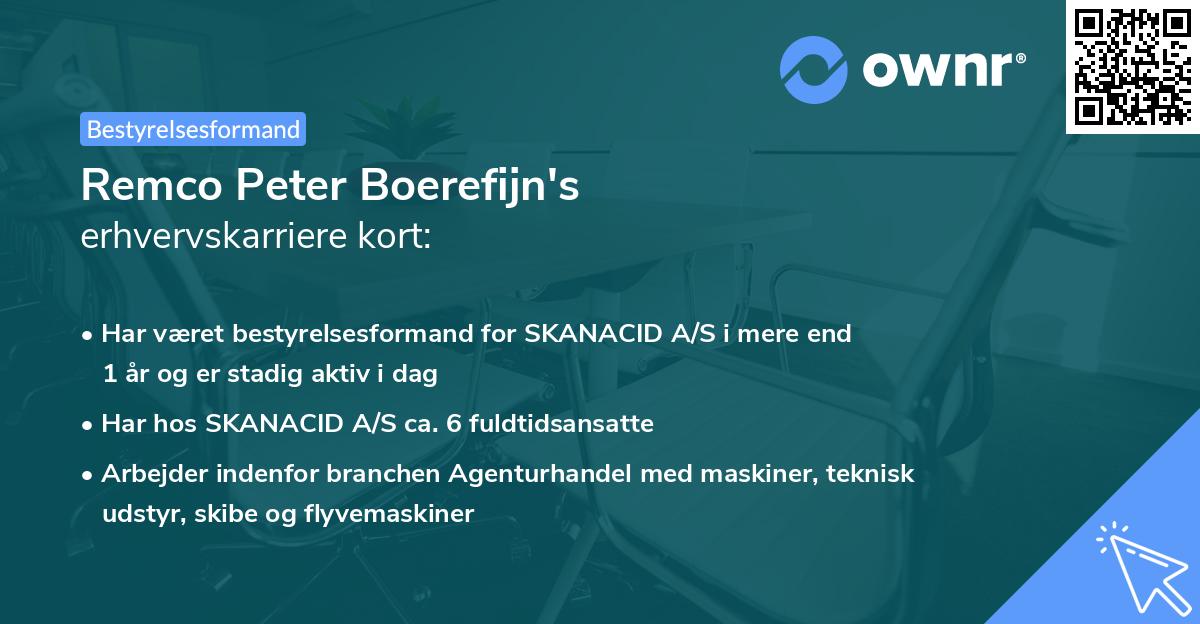 Remco Peter Boerefijn's erhvervskarriere kort