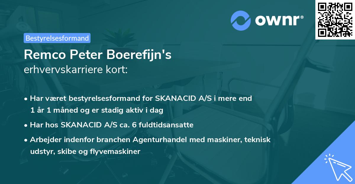 Remco Peter Boerefijn's erhvervskarriere kort