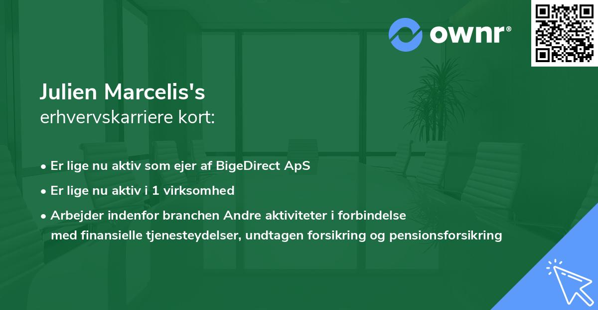 Julien Marcelis's erhvervskarriere kort