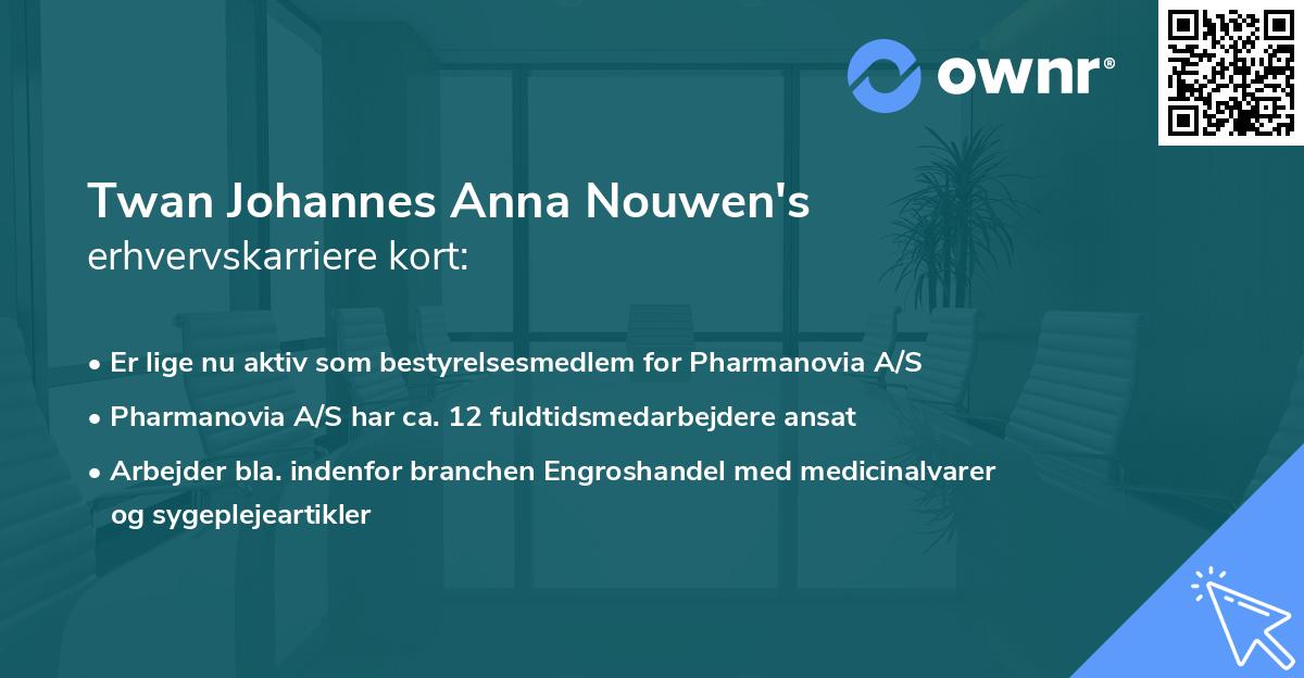 Twan Johannes Anna Nouwen's erhvervskarriere kort