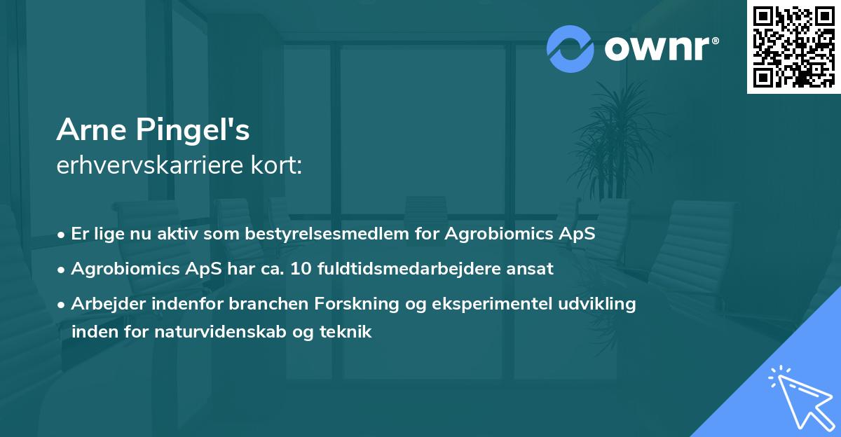Arne Pingel's erhvervskarriere kort