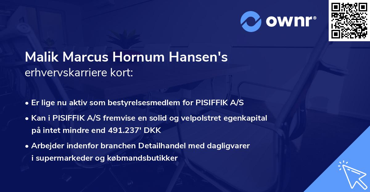 Malik Marcus Hornum Hansen's erhvervskarriere kort