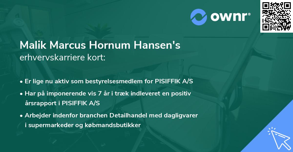 Malik Marcus Hornum Hansen's erhvervskarriere kort