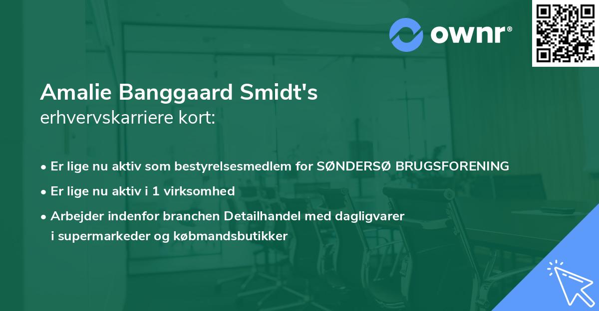 Amalie Banggaard Smidt's erhvervskarriere kort