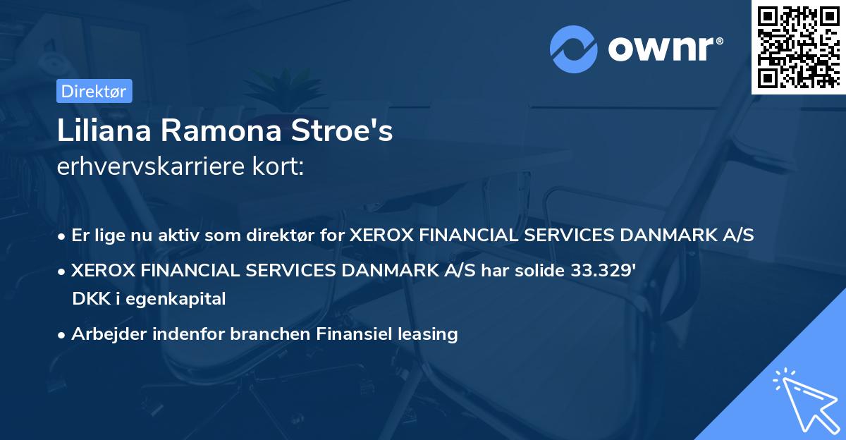 Liliana Ramona Stroe's erhvervskarriere kort