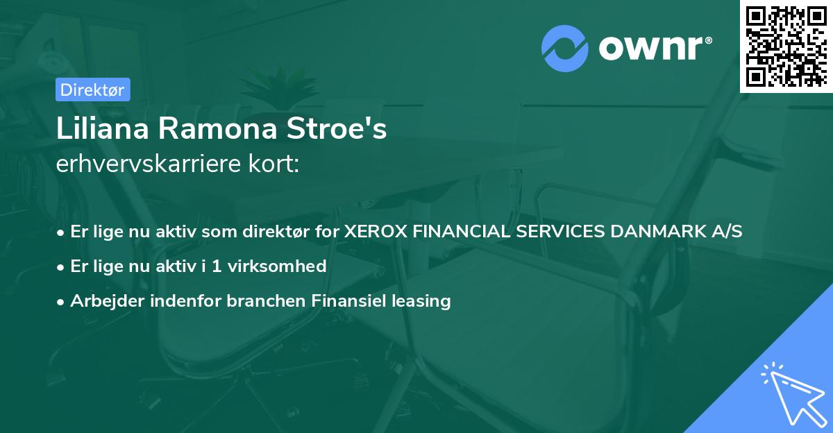 Liliana Ramona Stroe's erhvervskarriere kort