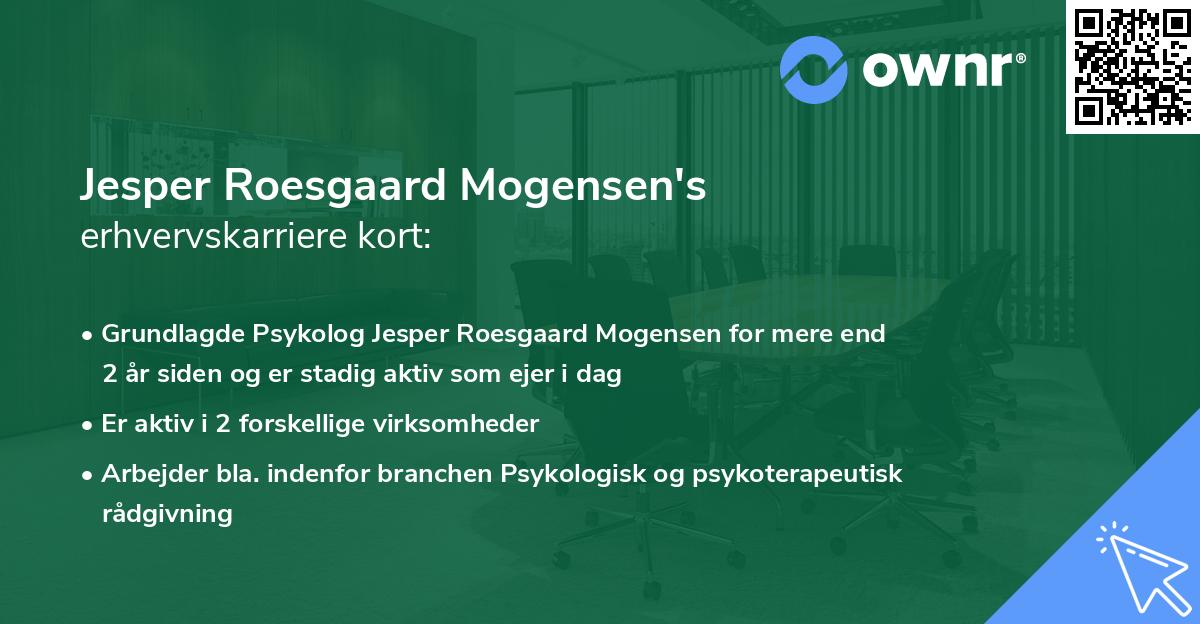 Jesper Roesgaard Mogensen's erhvervskarriere kort