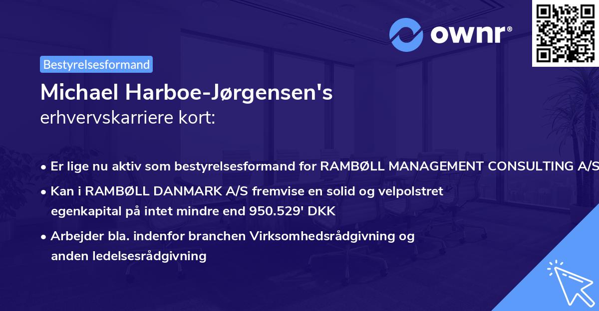 Michael Harboe-Jørgensen's erhvervskarriere kort