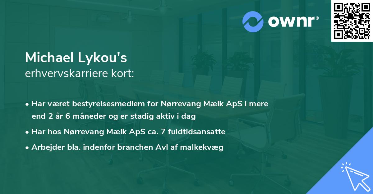 Michael Lykou's erhvervskarriere kort