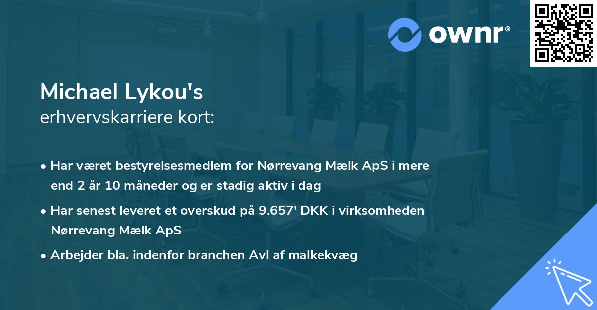 Michael Lykou's erhvervskarriere kort