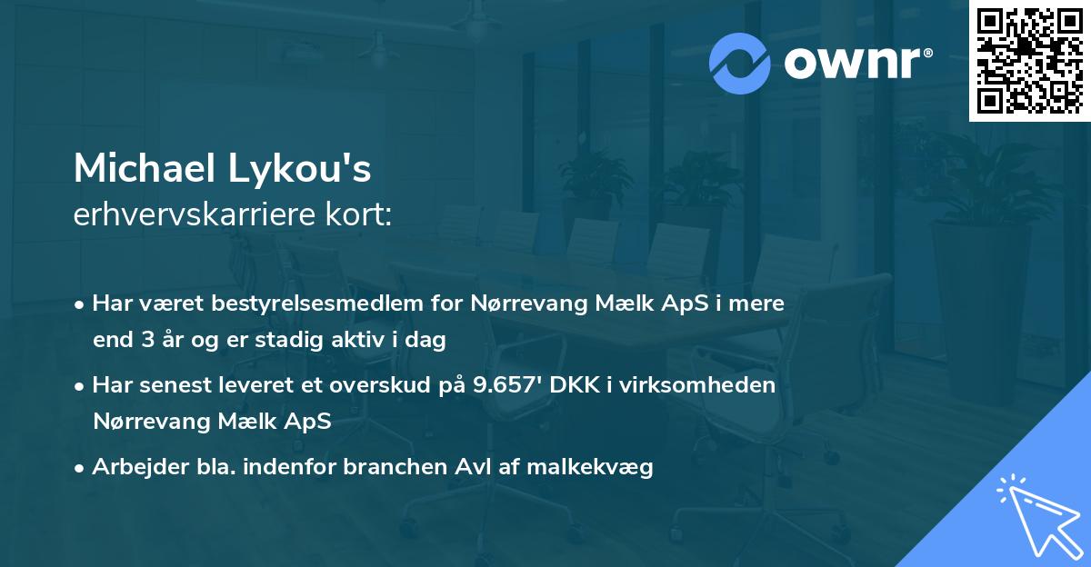 Michael Lykou's erhvervskarriere kort