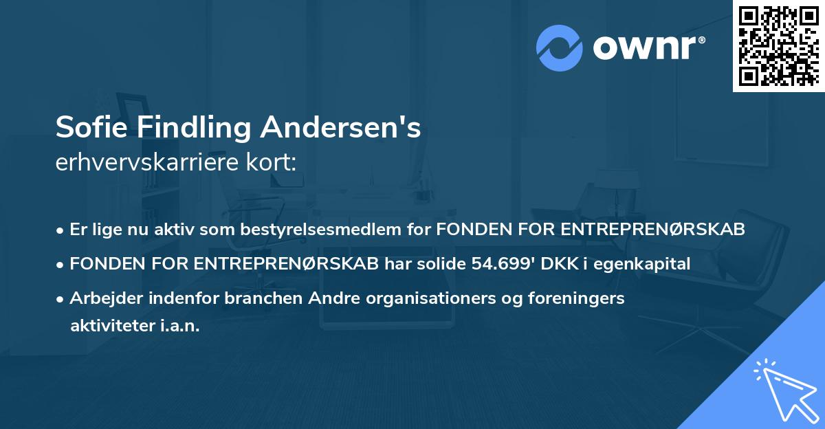 Sofie Findling Andersen's erhvervskarriere kort