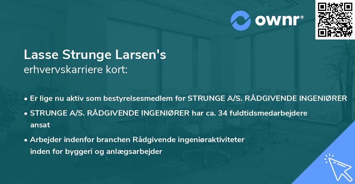 Lasse Strunge Larsen's erhvervskarriere kort