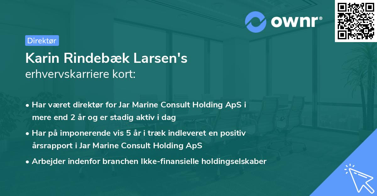 Karin Rindebæk Larsen's erhvervskarriere kort