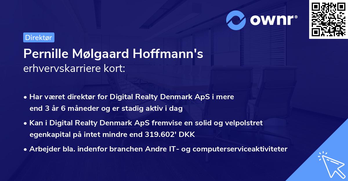 Pernille Mølgaard Hoffmann's erhvervskarriere kort