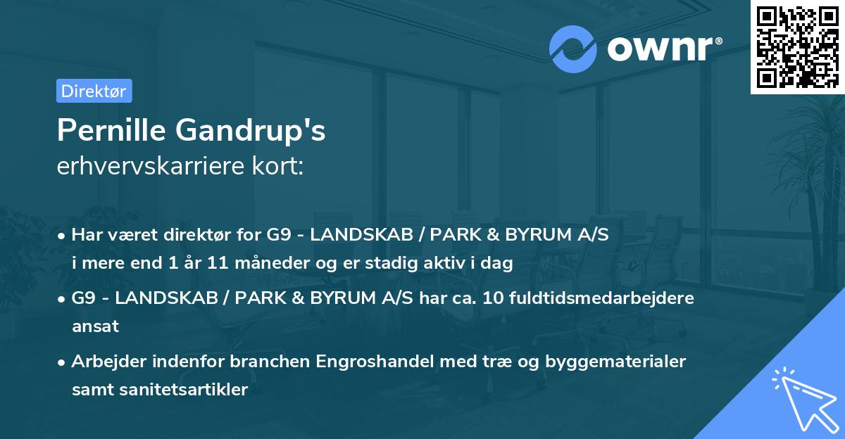 Pernille Gandrup's erhvervskarriere kort