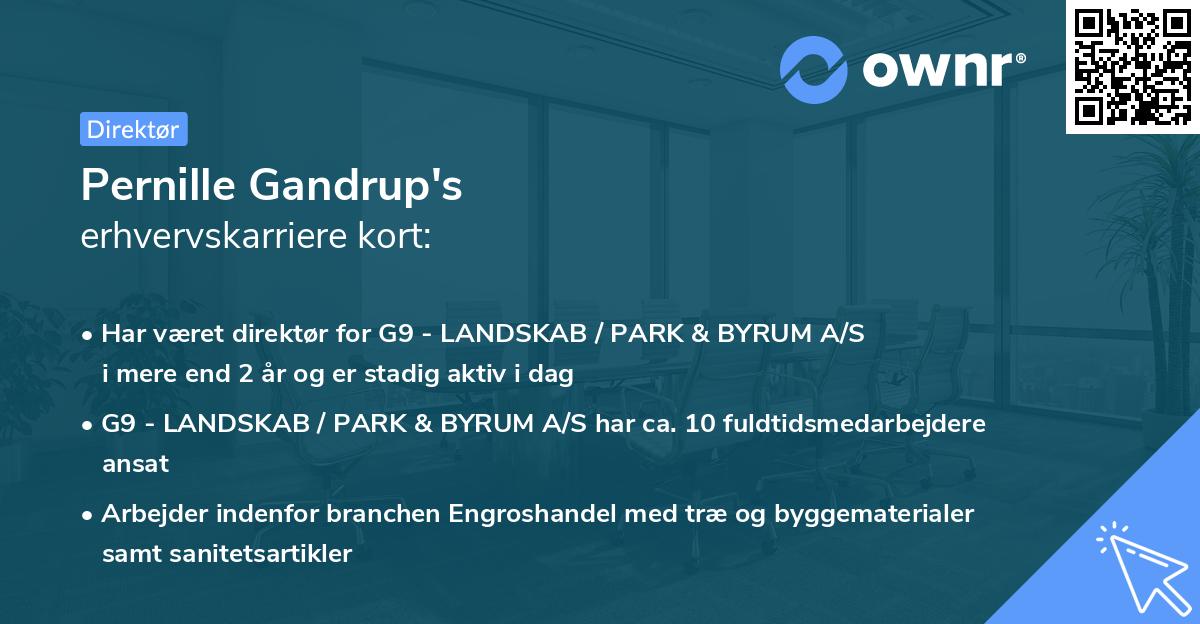 Pernille Gandrup's erhvervskarriere kort