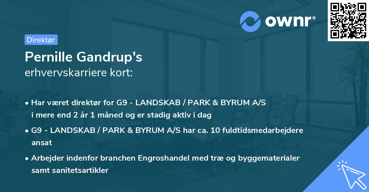 Pernille Gandrup's erhvervskarriere kort