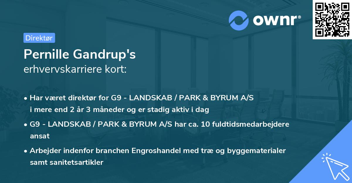 Pernille Gandrup's erhvervskarriere kort