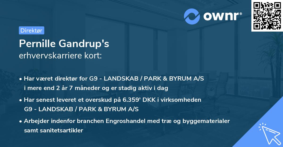 Pernille Gandrup's erhvervskarriere kort
