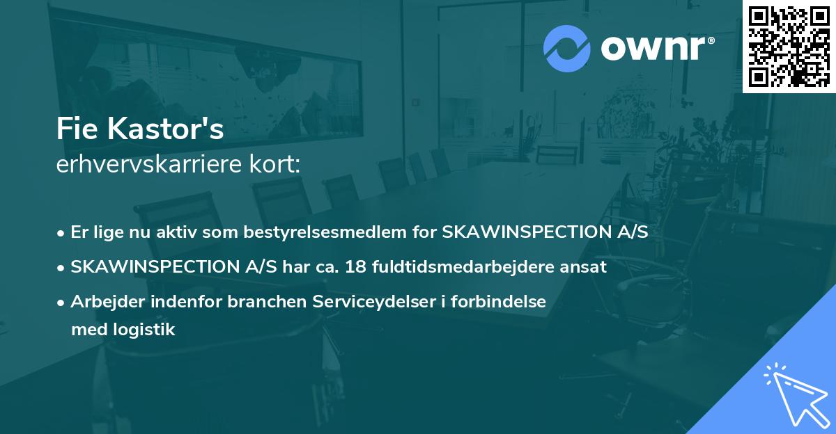 Fie Kastor's erhvervskarriere kort