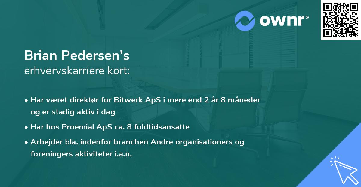 Brian Pedersen's erhvervskarriere kort