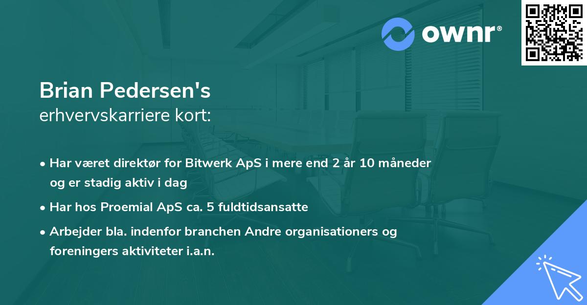 Brian Pedersen's erhvervskarriere kort