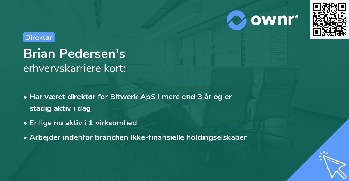 Brian Pedersen's erhvervskarriere kort