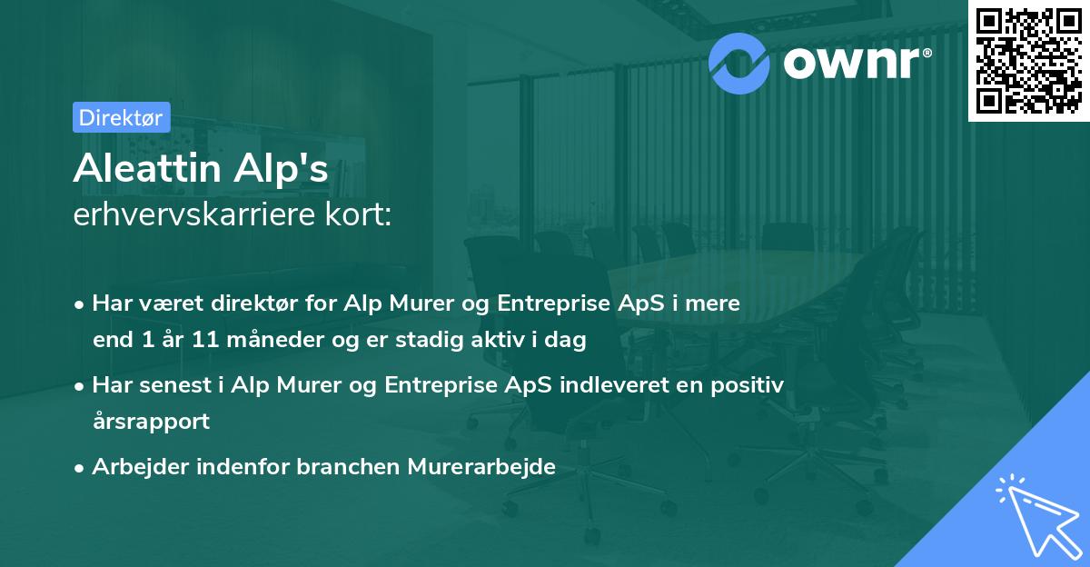 Aleattin Alp's erhvervskarriere kort