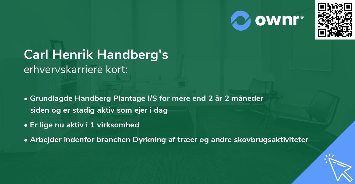 Carl Henrik Handberg's erhvervskarriere kort