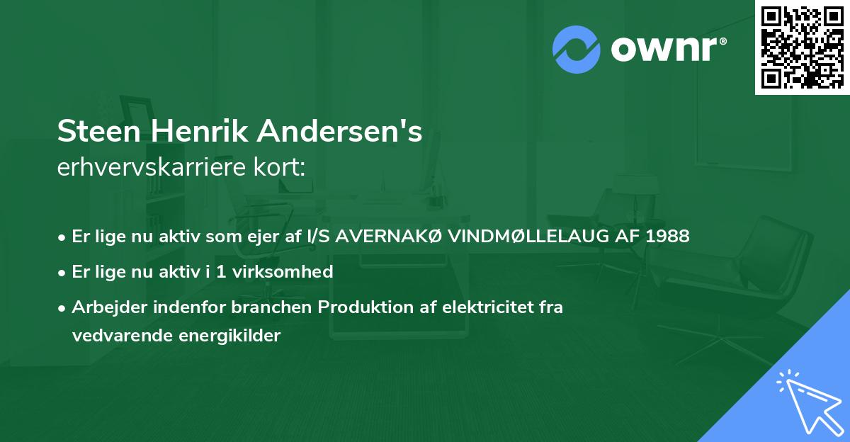Steen Henrik Andersen's erhvervskarriere kort