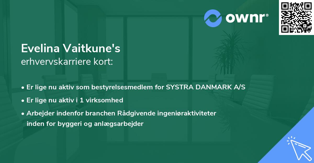 Evelina Vaitkune's erhvervskarriere kort