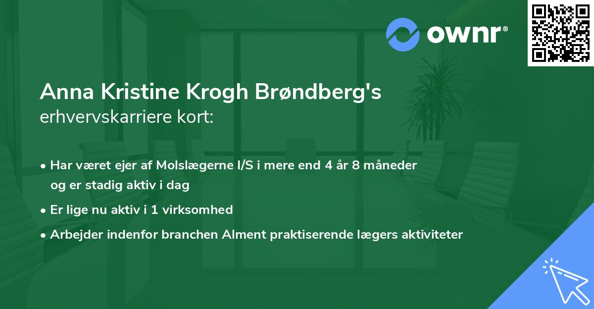 Anna Kristine Krogh Brøndberg's erhvervskarriere kort