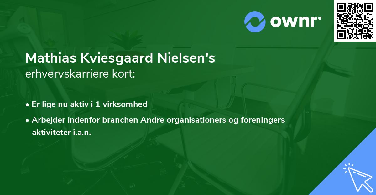 Mathias Kviesgaard Nielsen's erhvervskarriere kort