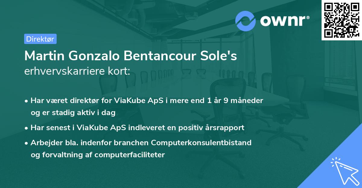 Martin Gonzalo Bentancour Sole's erhvervskarriere kort