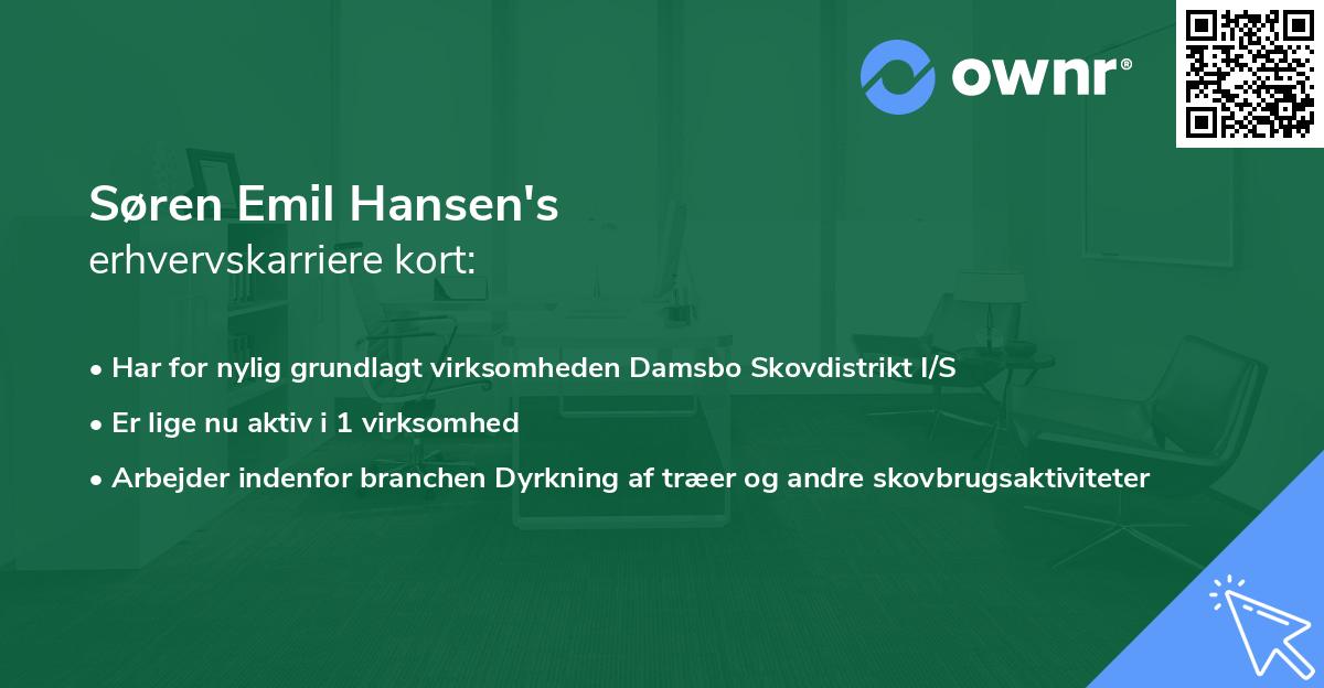 Søren Emil Hansen's erhvervskarriere kort