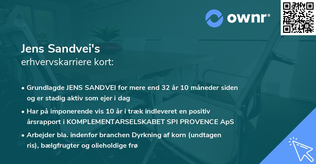 Jens Sandvei's erhvervskarriere kort