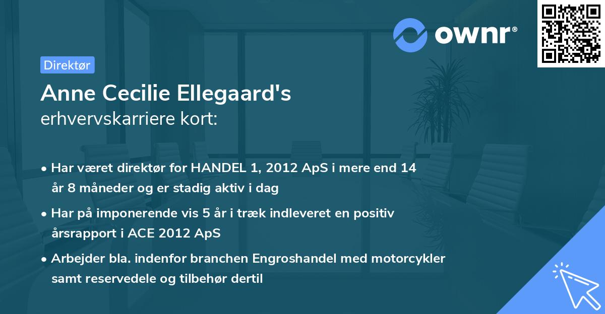 Anne Cecilie Ellegaard's erhvervskarriere kort