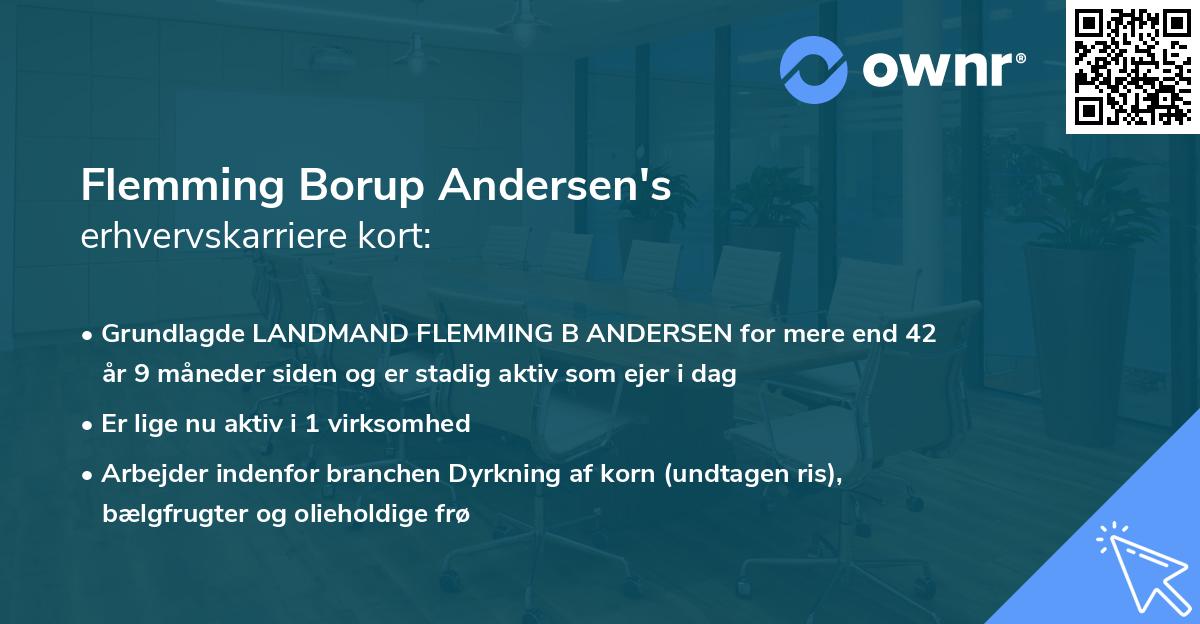 Flemming Borup Andersen's erhvervskarriere kort