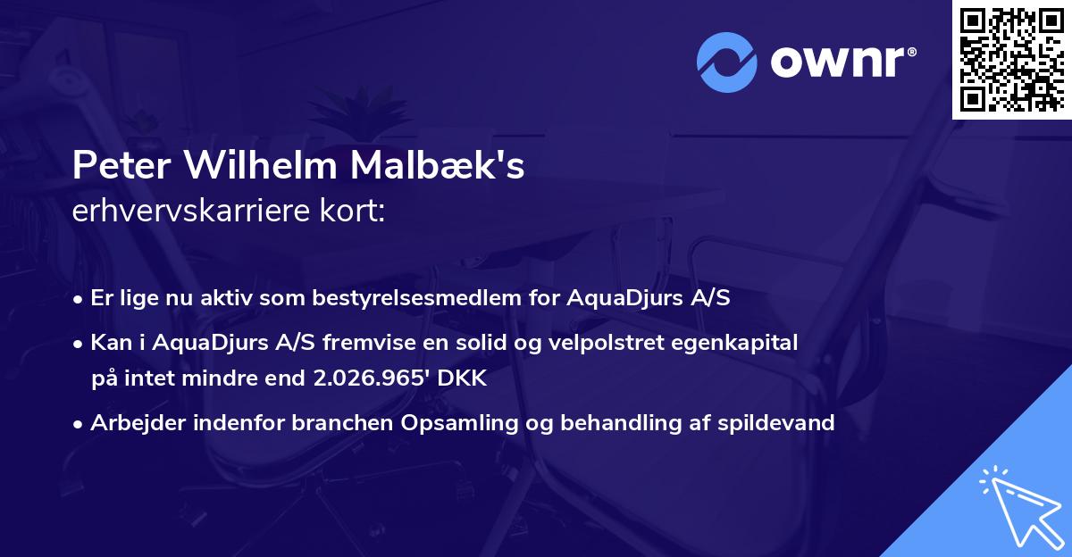 Peter Wilhelm Malbæk's erhvervskarriere kort