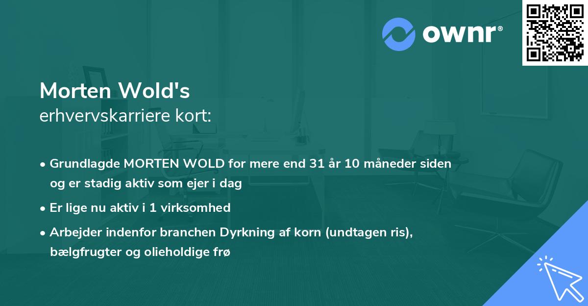 Morten Wold's erhvervskarriere kort