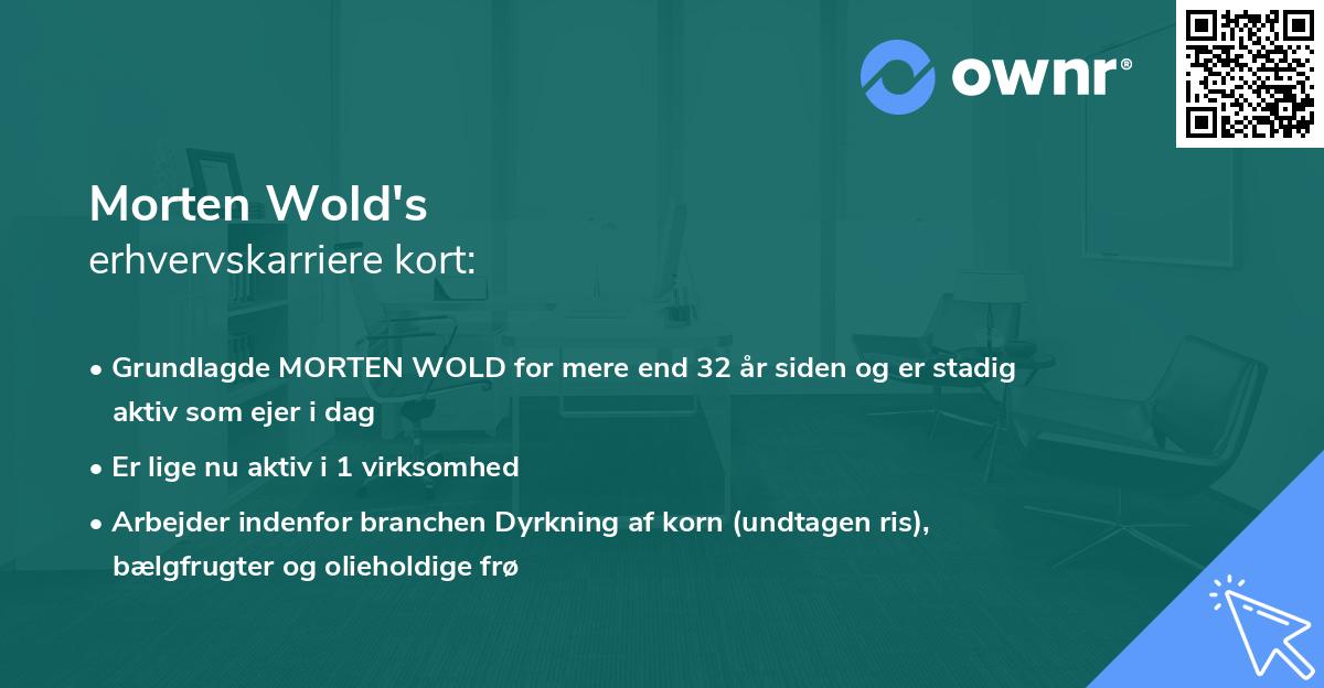 Morten Wold's erhvervskarriere kort