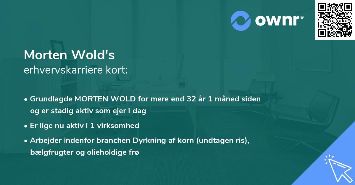 Morten Wold's erhvervskarriere kort