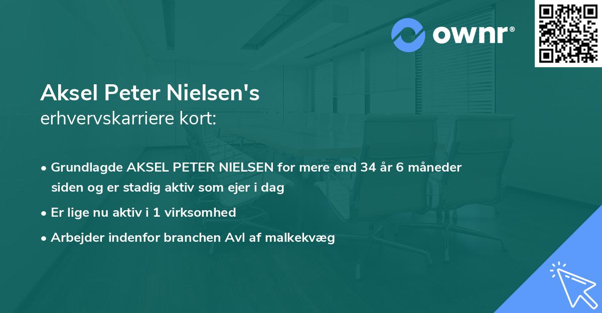 Aksel Peter Nielsen's erhvervskarriere kort