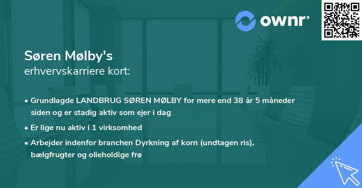 Søren Mølby's erhvervskarriere kort
