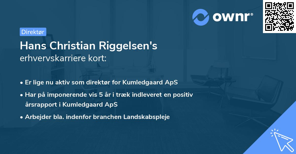 Hans Christian Riggelsen's erhvervskarriere kort