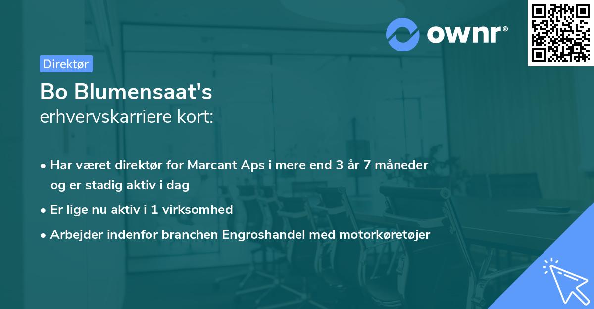 Bo Blumensaat's erhvervskarriere kort