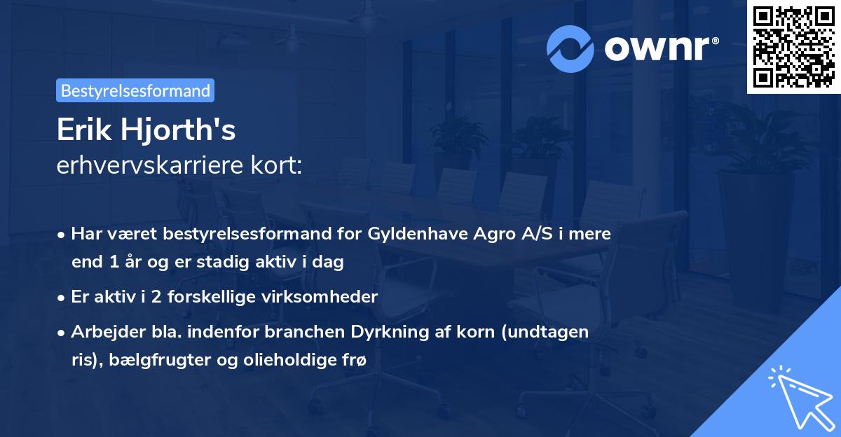 Erik Hjorth's erhvervskarriere kort